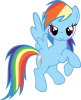 Avatar von Rainbow Dash