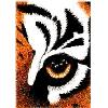 Avatar von TigeR