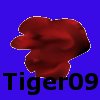 Avatar von Tiger09