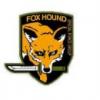 Avatar von fox13