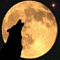 Avatar von Shadow07
