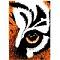 Avatar von TigeR