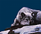 Avatar von makkurona