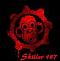 Avatar von skiller187