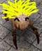 Avatar von Headcrab Freak
